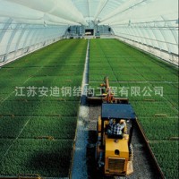 供應鋼結構網架連棟溫室大棚，廠家直接供貨
