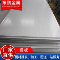 現貨供應熱軋鋼板可定制加工規格齊全量大從優 鋼板 不銹鋼鋼板