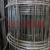 外墻專用熱鍍鋅電焊網 工地用建筑防護網 電焊鐵絲網