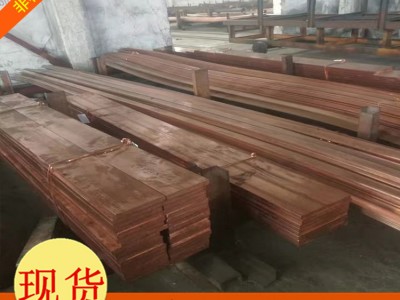 批發(fā)定制紫銅排 鍍錫銅排 接地銅母線 紫銅板 紫銅帶 品質(zhì)保障