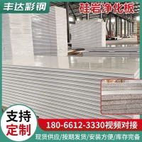 無(wú)塵車間硅巖板墻體保溫材料巖棉彩鋼夾心板隔熱可定制硅巖凈化板