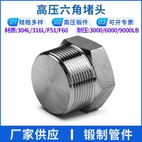 批發 外六角實心堵頭 NPT耐400KG高壓管件 304/316L絲牙螺紋堵頭