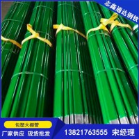 包塑橢圓管養殖大棚 鍍鋅大棚管 可上棉被暖棚 天津溫室大棚廠