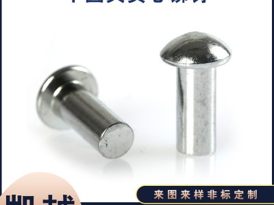 廠家批發(fā)圓頭鉚釘實心鐵鉚釘半圓頭實心銅鉚釘 鋁鉚釘 不銹鋼釘
